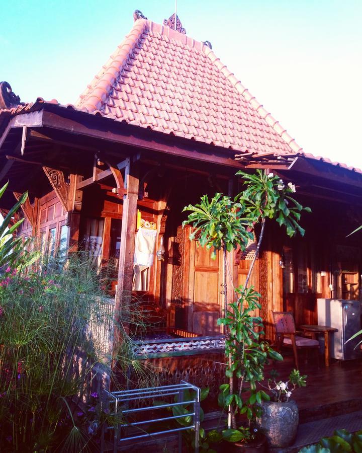 Ogek Home Stay Ουμπούντ Εξωτερικό φωτογραφία